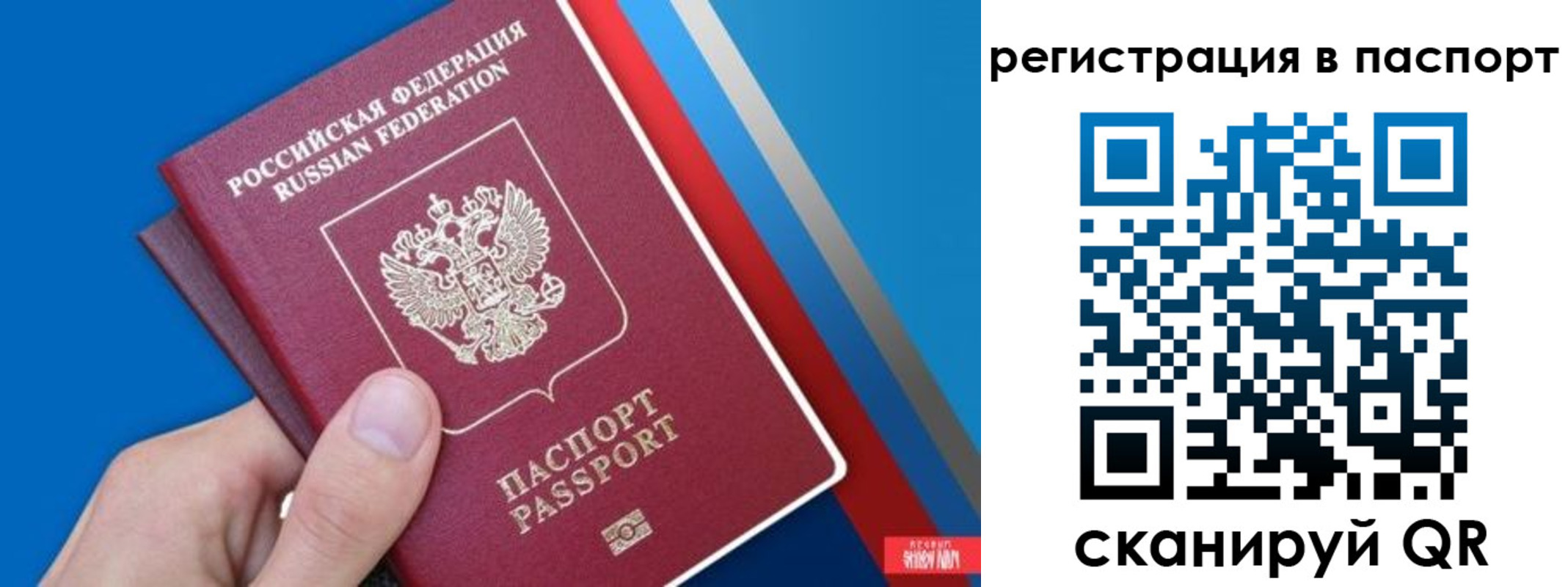 прописка для школы в Хасавюрте